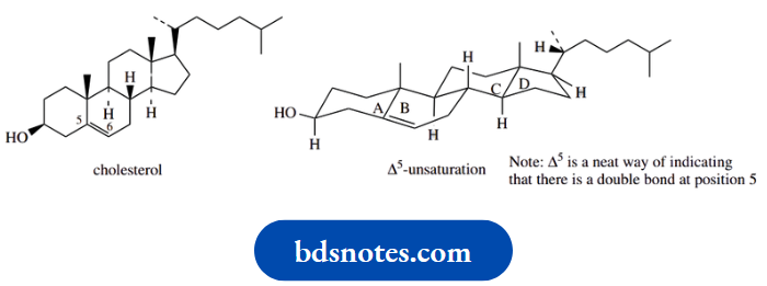 Stereochemistry Cholesterol