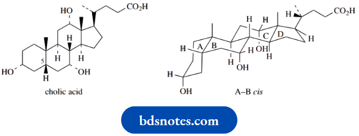 Stereochemistry Cholic Acid