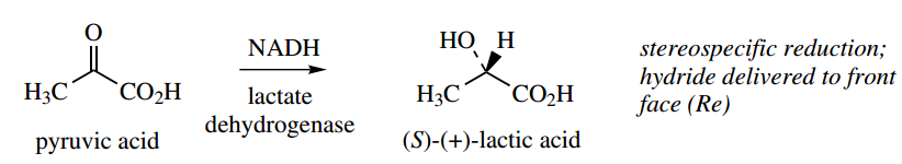 Stereochemistry Cofactor In An Enzyme-Catalysed Reaction