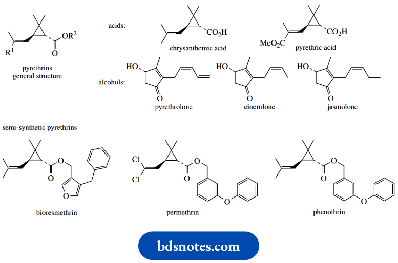 Stereochemistry Compounds With Cyclopropane Or Cyclobutane Rings