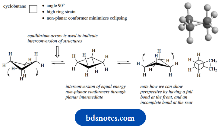 Stereochemistry Cyclobutane, The Internal Angle