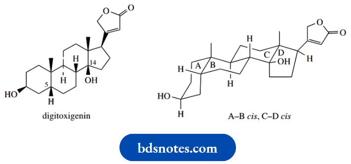 Stereochemistry Digitoxigenin