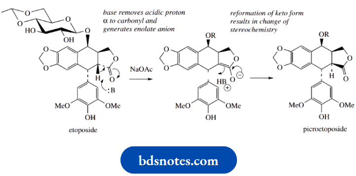 Stereochemistry Epimerization Of Etoposide