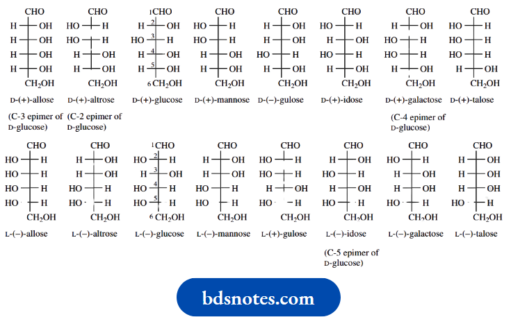 Stereochemistry Fischer Projections Of Glucose And Stereoismers