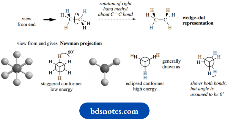 Stereochemistry Newman Projection