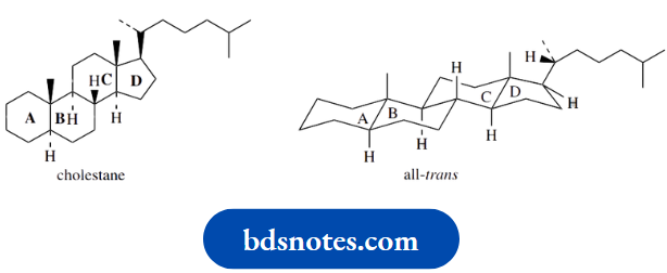Stereochemistry Progesterone