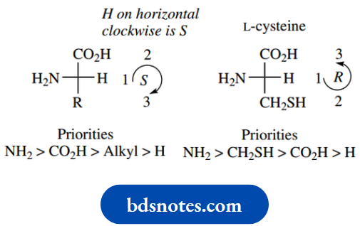 Stereochemistry The Amino Acids Found In Proteins Are Of The L Configuration