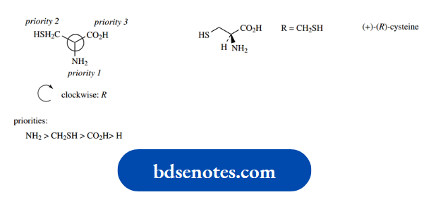 Stereochemistry The Amino Acids Found In Proteins