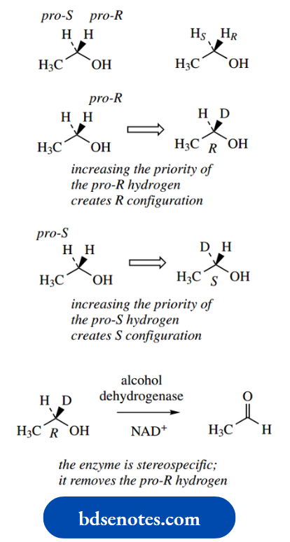 Stereochemistry The Cahn–Ingold–Prelog System