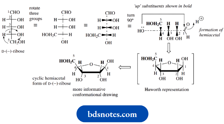 Stereochemistry The Conformational Consequences