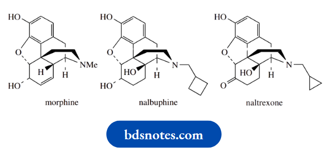 Stereochemistry The Drugs Naltrexone And Nalbuphine