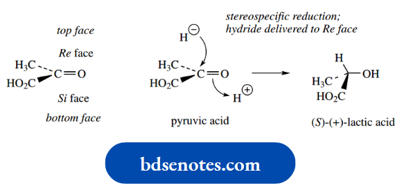 Stereochemistry The Enzymic Reduction Of Pyruvic Acid To Lactic Acid