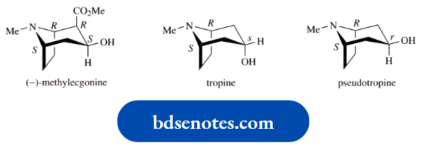 Stereochemistry The Hydroxyl Group In Methylecgonine