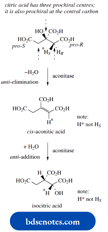 Stereochemistry The Result Of A Dehydration Followed By A Rehydration