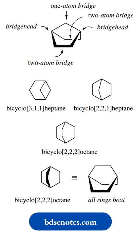 Stereochemistry The Ring System Of Bornane