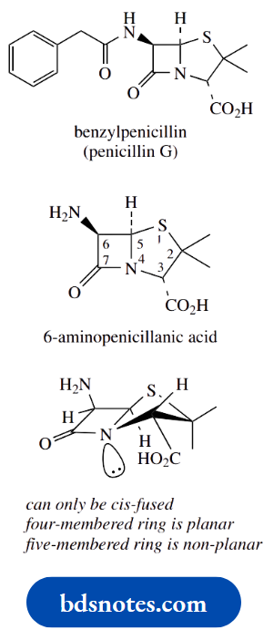 Stereochemistry The Shape Of Penicillins