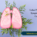 Lobar Pneumonia Symptoms And Causes