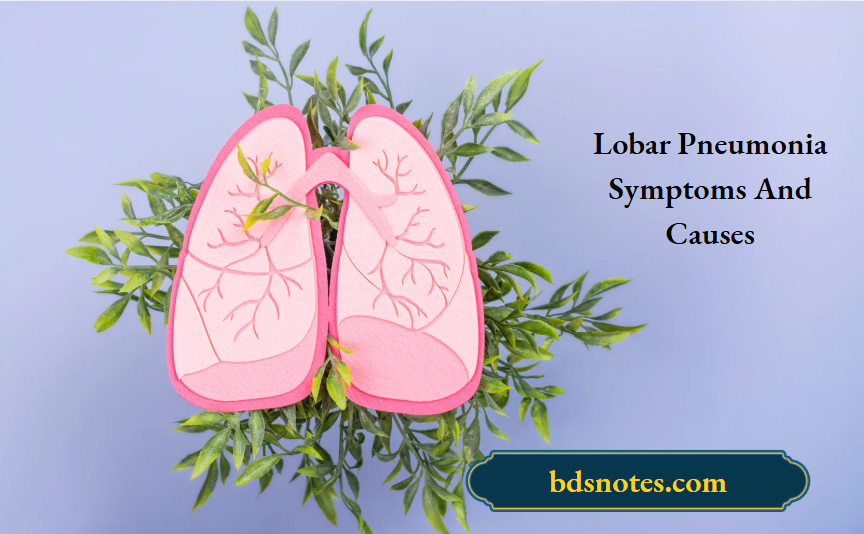 Lobar Pneumonia Symptoms And Causes