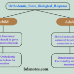 Treatment of Class II Division 2