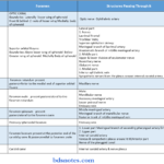 Anatomy of the Middle Cranial Fossa