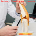 Elbow Joint Anatomy Classification, Ligaments, Movements