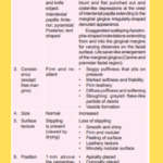 Clinical Changes Gingival Disease