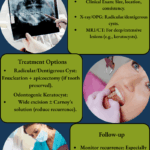 Dental Cysts Pseudocysts Management