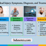 Head Injury Management Algorithm