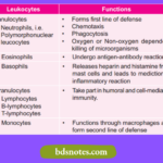 Leukocyte Functions Overview