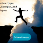 Reflex Action Types, Mechanism, Examples, And Diagram