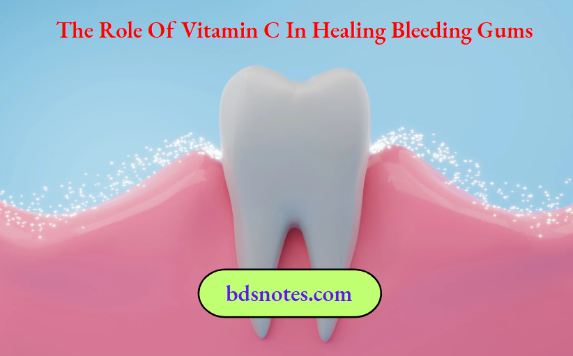 Role Of Vitamin C In Gum Health