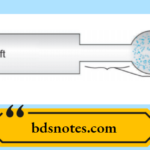 Shaft Head Shank Diagram