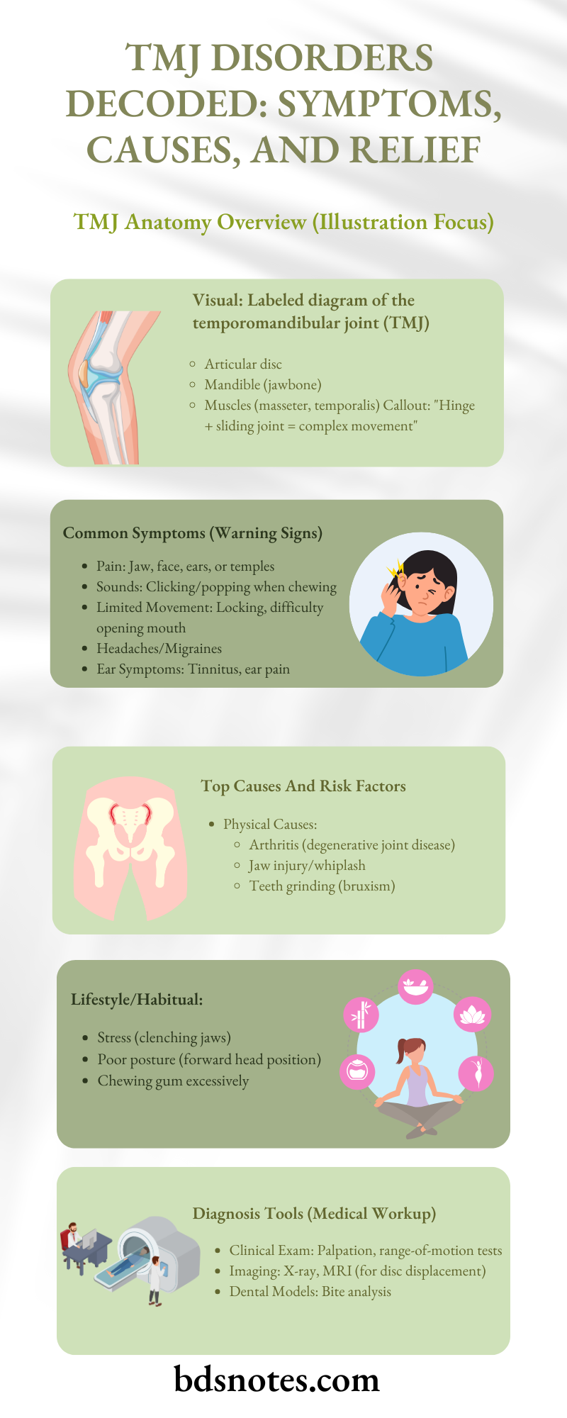 TMJ Visual Explainer