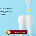 The Role Of Fluoride In Preventing Dental Caries
