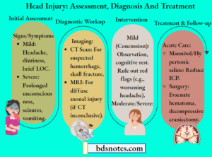 Head Injury: Assessment, Diagnosis And Treatment - BDS Notes
