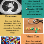 Actinomyces Infection Visual Reference