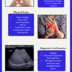 Blue and White Minimalist Monotone Organization History Timeline Infographic