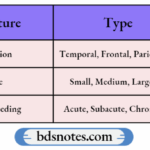 Brain Hemorrhage Classification Table