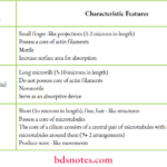 Characteristic Features of Surface Specialization