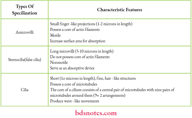 Characteristic Features of Surface Specialization