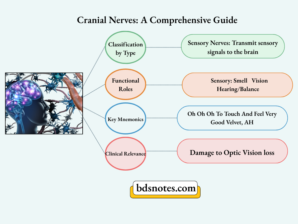 Colorful Modern Brand Identity Flow Chart