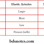 Comparison With Elastic Arteries