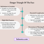 Danger Triangle of the Face