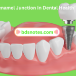 Dentinoenamel Junction In Dental Health