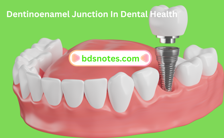 Dentinoenamel Junction In Dental Health