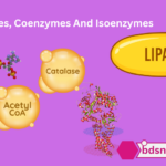 Enzymes, Coenzymes And Isoenzymes
