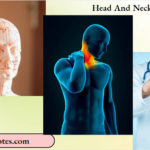 Head And Neck Cancers