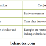 Joints Adjunct and conjunct rotation