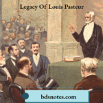Legacy Of Louis Pasteur