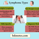Lymphoma Subtypes Quick Reference